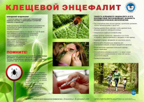 «Осторожно! Клещевой энцефалит!» «Осторожно! Клещевой энцефалит!».