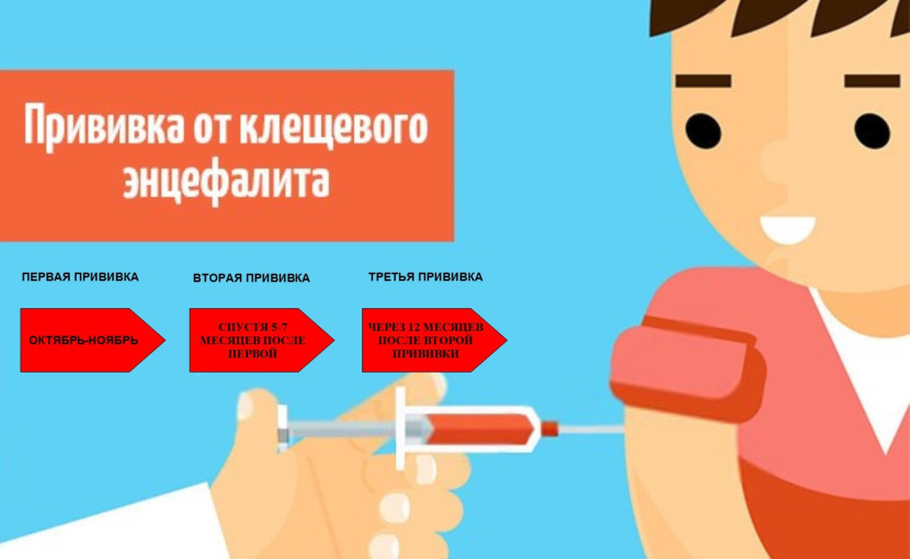 Как защититься от заболевания клещевой энцефалит? Как защититься от заболевания клещевой энцефалит?.